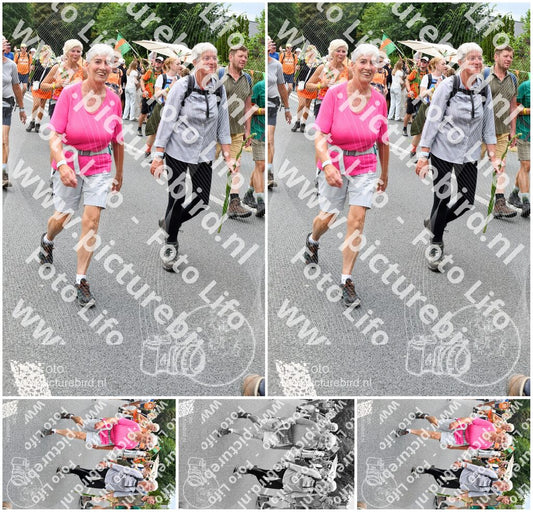 Evenement foto: Nijmeegse Vierdaagse 718