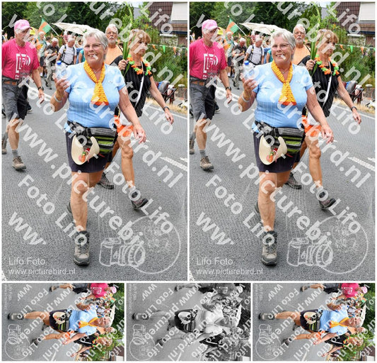 Evenement foto: Nijmeegse Vierdaagse 718