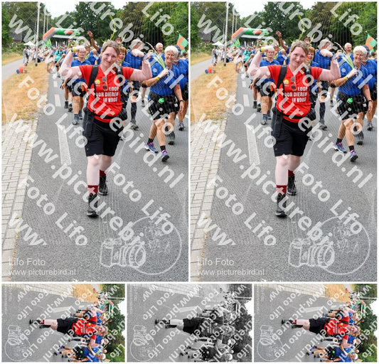 Evenement foto: Nijmeegse Vierdaagse 718