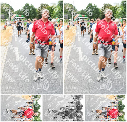Evenement foto: Nijmeegse Vierdaagse 718