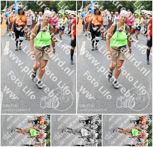 Evenement foto: Nijmeegse Vierdaagse 718