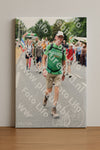 Evenement foto: Nijmeegse Vierdaagse 718