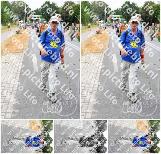 Evenement foto: Nijmeegse Vierdaagse 718