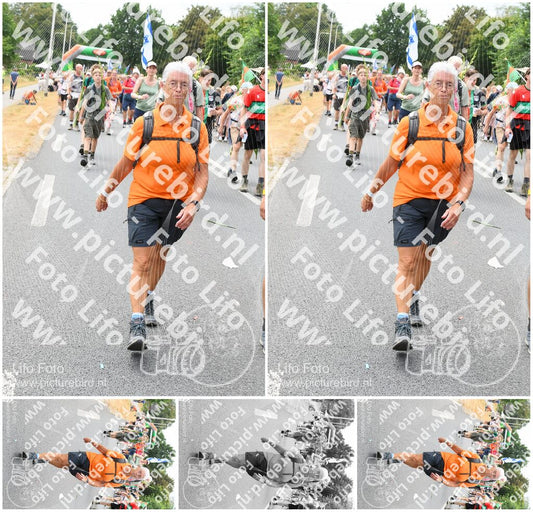 Evenement foto: Nijmeegse Vierdaagse 718
