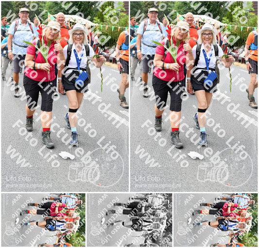Evenement foto: Nijmeegse Vierdaagse 718