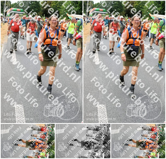 Evenement foto: Nijmeegse Vierdaagse 718