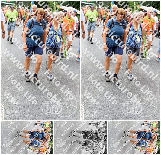 Evenement foto: Nijmeegse Vierdaagse 718