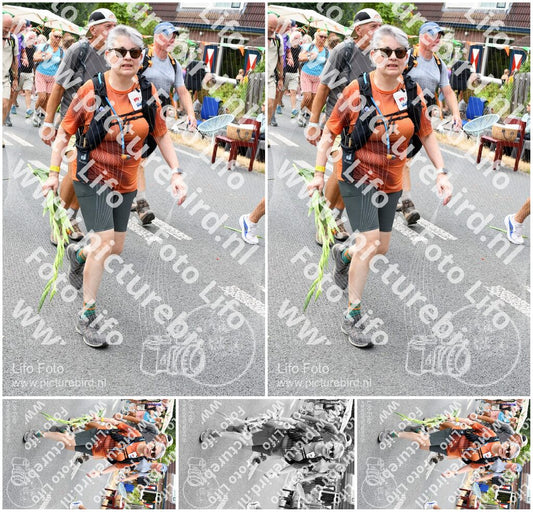 Evenement foto: Nijmeegse Vierdaagse 718