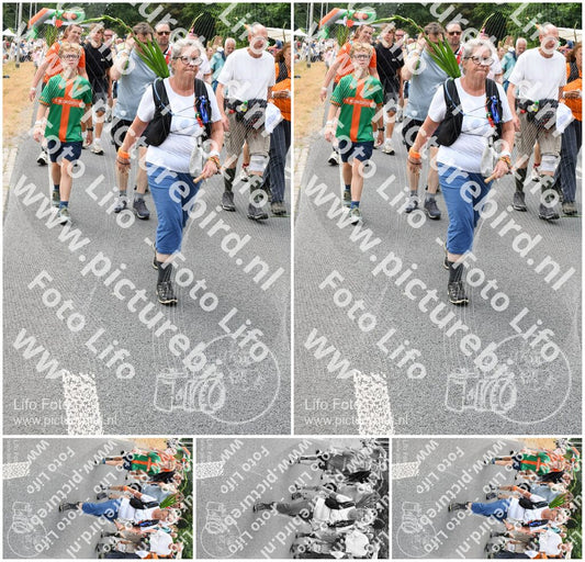 Evenement foto: Nijmeegse Vierdaagse 718