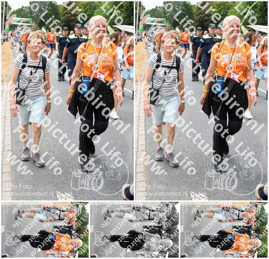 Evenement foto: Nijmeegse Vierdaagse 718