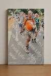 Evenement foto: Nijmeegse Vierdaagse 718