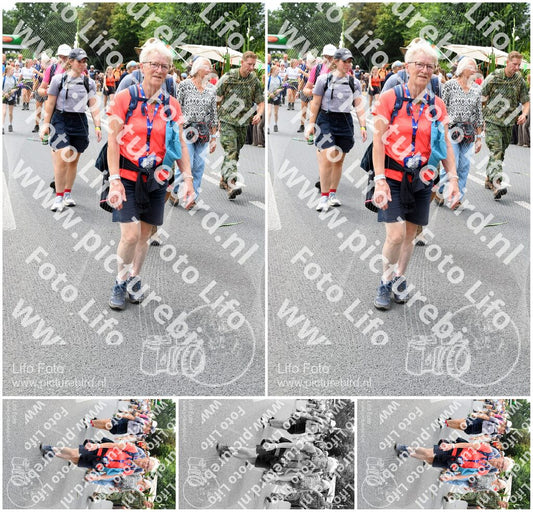 Evenement foto: Nijmeegse Vierdaagse 718