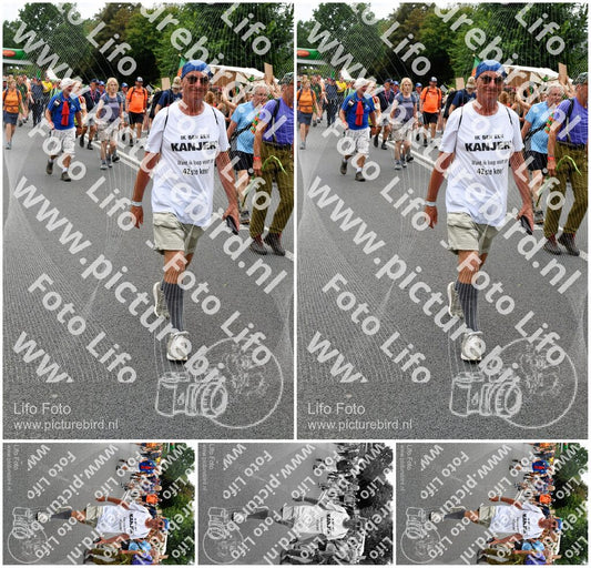 Evenement foto: Nijmeegse Vierdaagse 717
