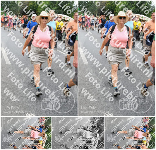 Evenement foto: Nijmeegse Vierdaagse 717