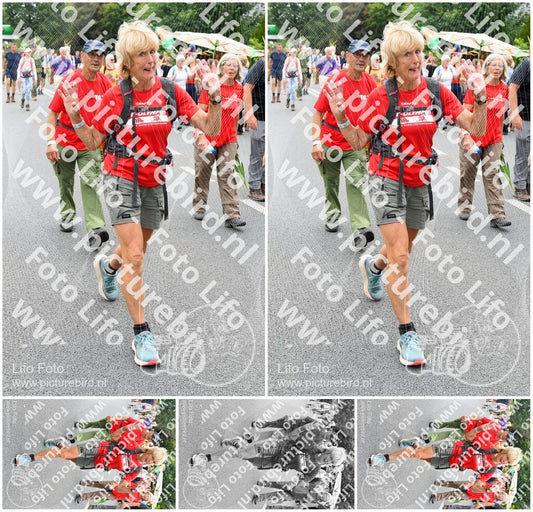Evenement foto: Nijmeegse Vierdaagse 717