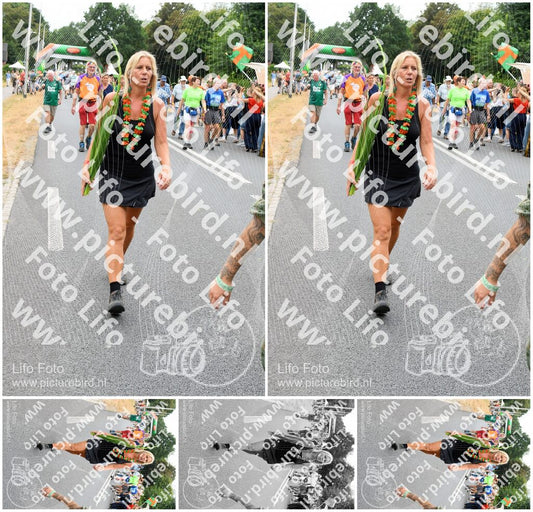 Evenement foto: Nijmeegse Vierdaagse 717