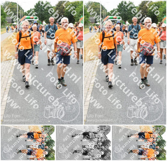 Evenement foto: Nijmeegse Vierdaagse 717