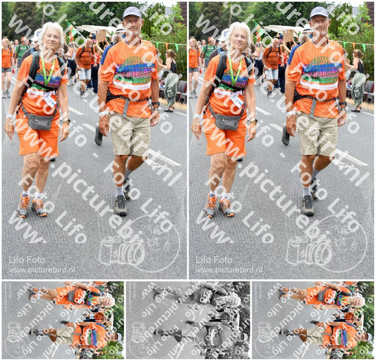 Evenement foto: Nijmeegse Vierdaagse 717