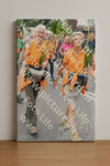 Evenement foto: Nijmeegse Vierdaagse 717