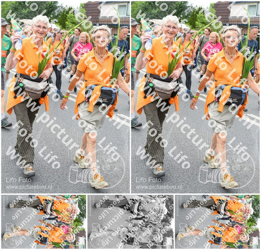 Evenement foto: Nijmeegse Vierdaagse 717