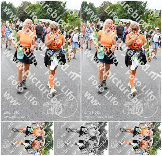 Evenement foto: Nijmeegse Vierdaagse 717