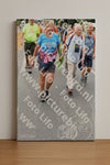Evenement foto: Nijmeegse Vierdaagse 717