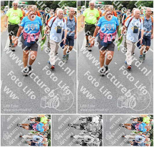 Evenement foto: Nijmeegse Vierdaagse 717