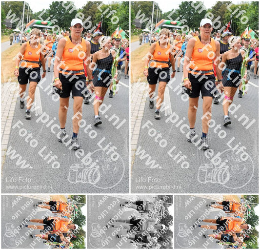 Evenement foto: Nijmeegse Vierdaagse 717