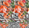 Evenement foto: Nijmeegse Vierdaagse 717