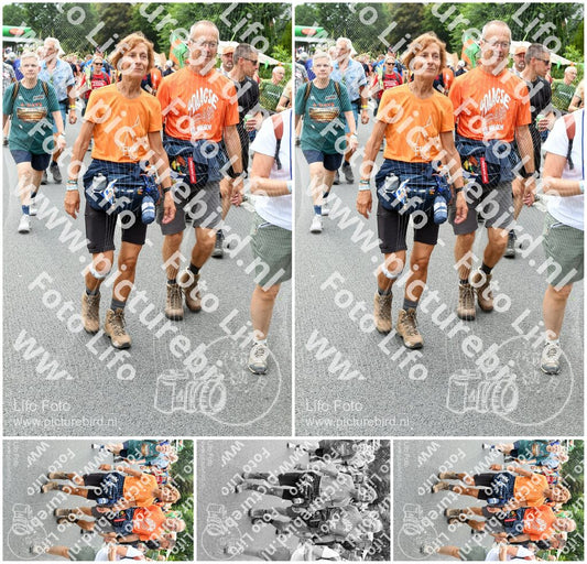 Evenement foto: Nijmeegse Vierdaagse 717
