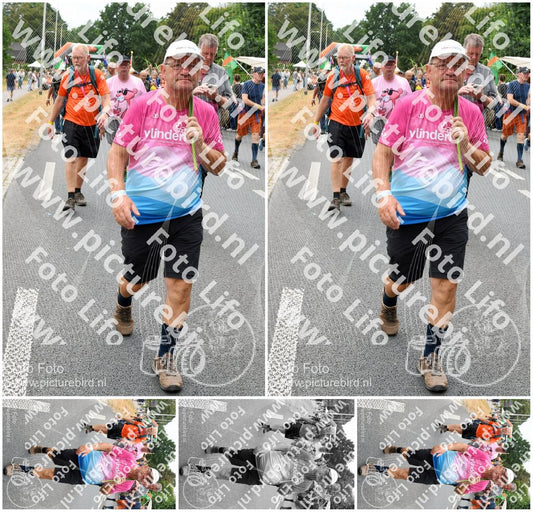 Evenement foto: Nijmeegse Vierdaagse 717