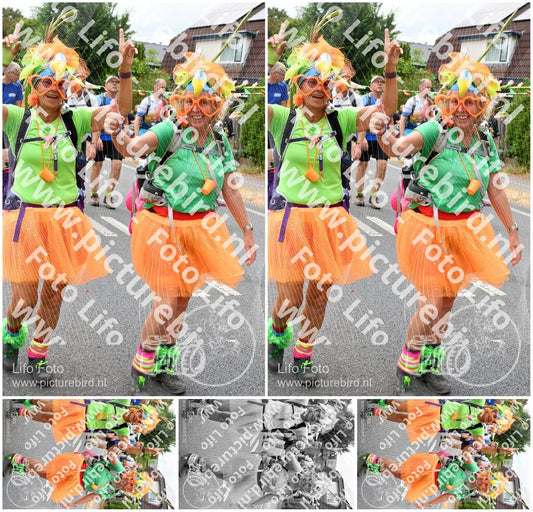 Evenement foto: Nijmeegse Vierdaagse 717