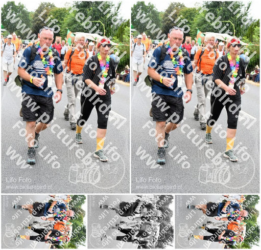 Evenement foto: Nijmeegse Vierdaagse 716