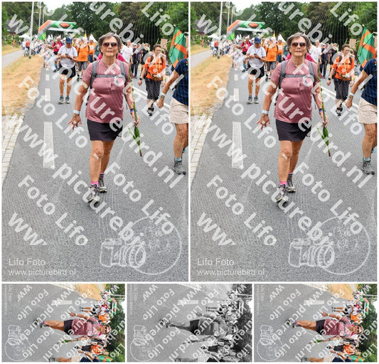 Evenement foto: Nijmeegse Vierdaagse 716