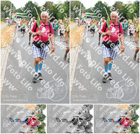 Evenement foto: Nijmeegse Vierdaagse 716
