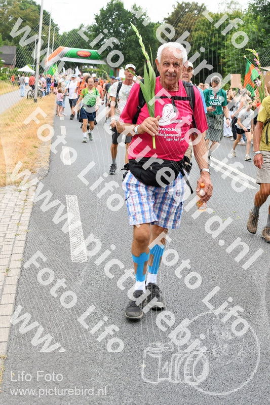 Evenement foto: Nijmeegse Vierdaagse 716