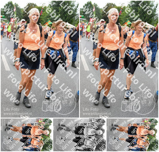 Evenement foto: Nijmeegse Vierdaagse 716