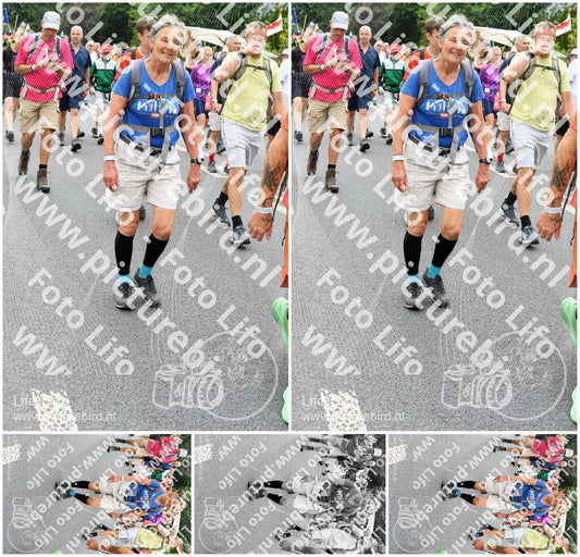 Evenement foto: Nijmeegse Vierdaagse 716
