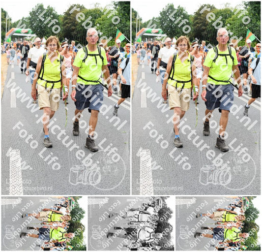 Evenement foto: Nijmeegse Vierdaagse 716