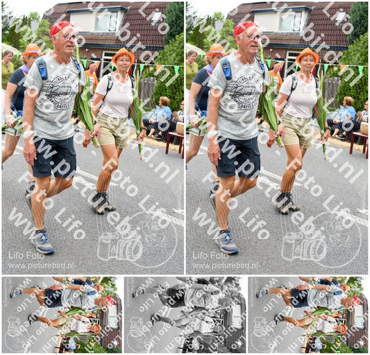 Evenement foto: Nijmeegse Vierdaagse 716