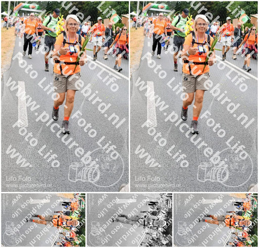 Evenement foto: Nijmeegse Vierdaagse 716