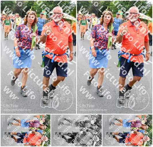 Evenement foto: Nijmeegse Vierdaagse 716