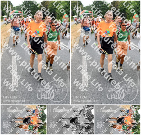 Evenement foto: Nijmeegse Vierdaagse 716