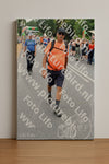 Evenement foto: Nijmeegse Vierdaagse 716