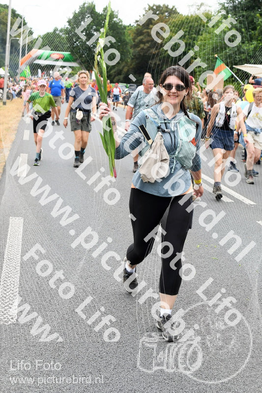 Evenement foto: Nijmeegse Vierdaagse 716