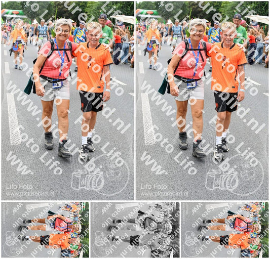 Evenement foto: Nijmeegse Vierdaagse 716
