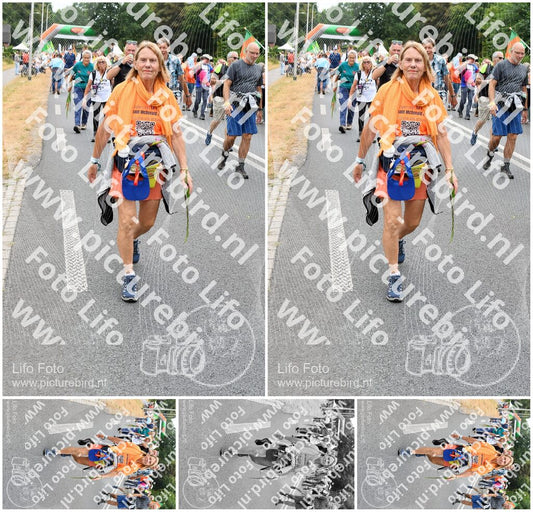 Evenement foto: Nijmeegse Vierdaagse 716