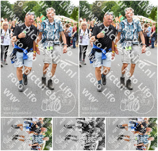 Evenement foto: Nijmeegse Vierdaagse 716