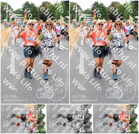 Evenement foto: Nijmeegse Vierdaagse 716