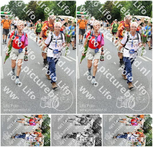 Evenement foto: Nijmeegse Vierdaagse 716